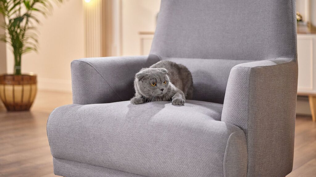 Bellona Caldera Koltuk Takımı Leke Tutmayan Kumaş Yapısı