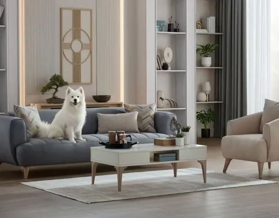 Bellona Mona Koltuk Takımı