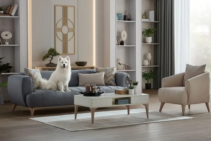 Bellona Mona Koltuk Takımı